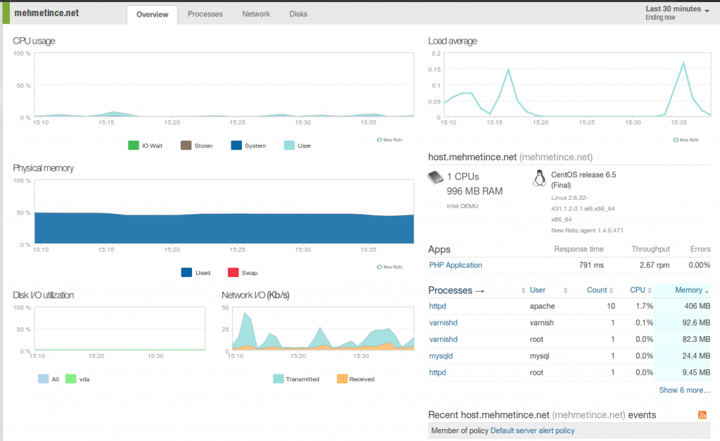 newrelic server