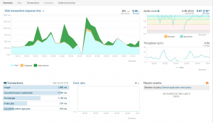 newrelic application overview