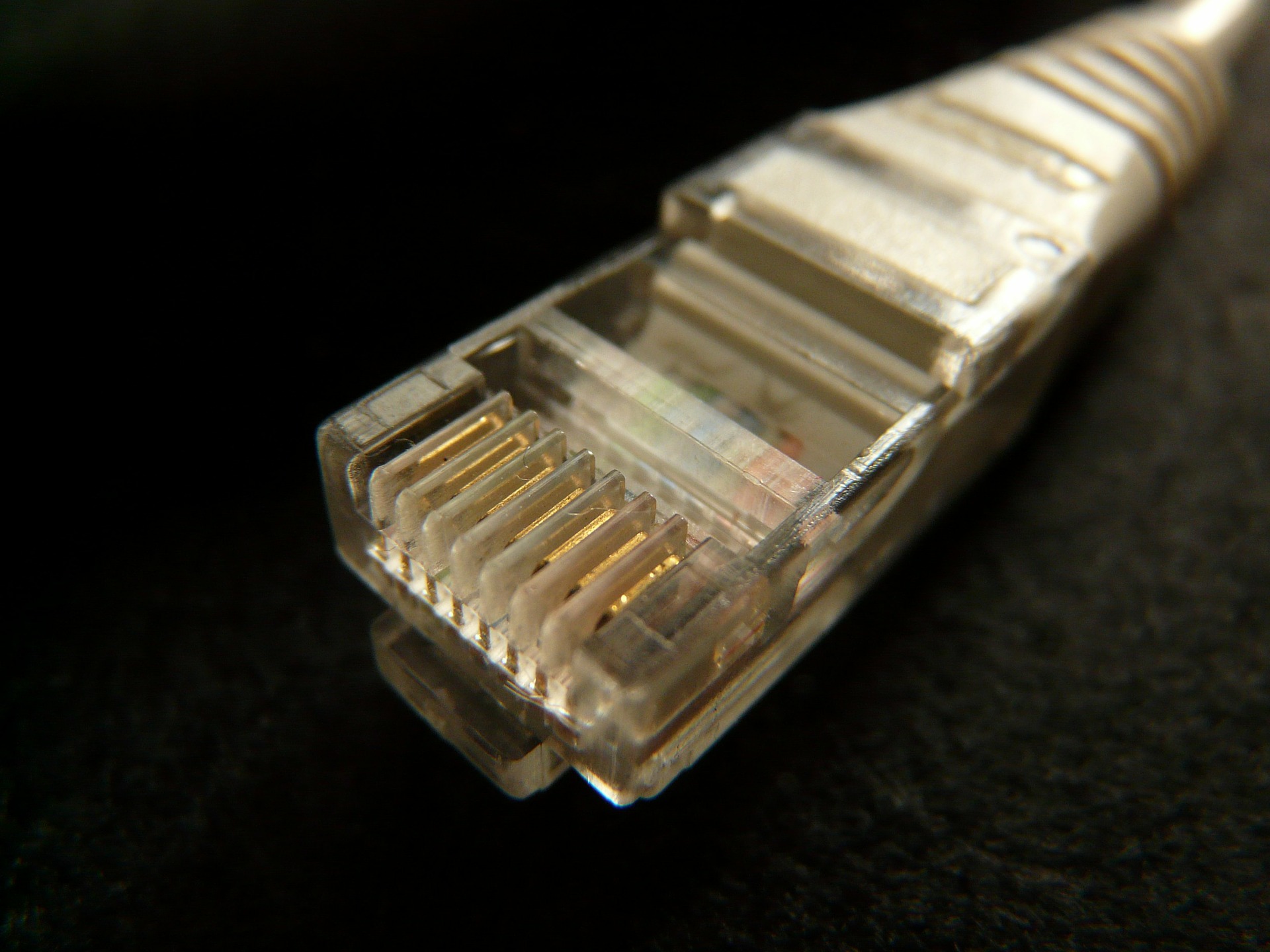 Network Cable